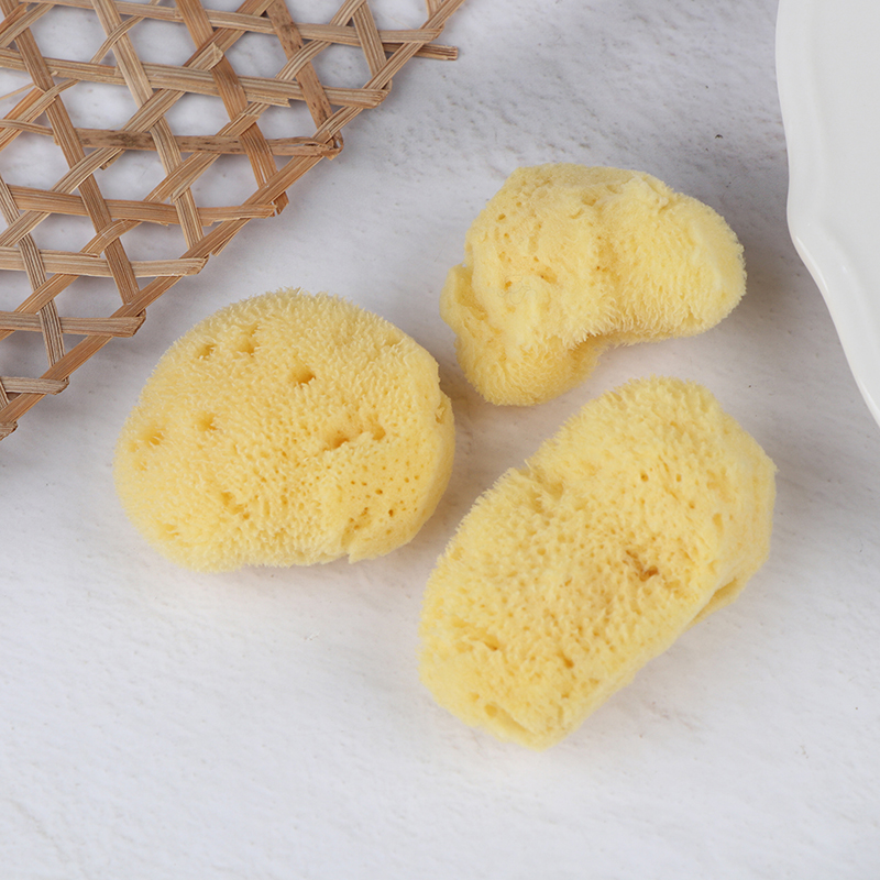 Специальный инструмент для очи – обзор и цена Eco Sponge