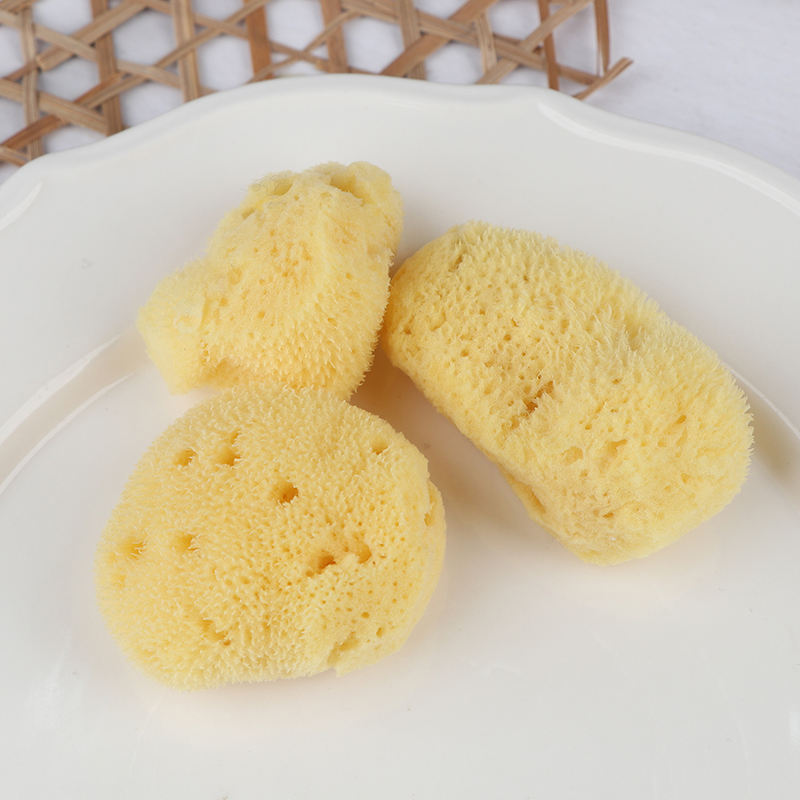 Специальный инструмент для очи – обзор и цена Eco Sponge